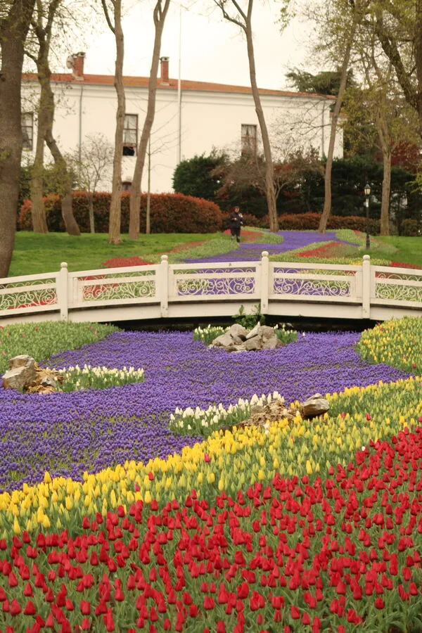 A white ornamental bridge over a canal of tulips in red, yellow and violet.