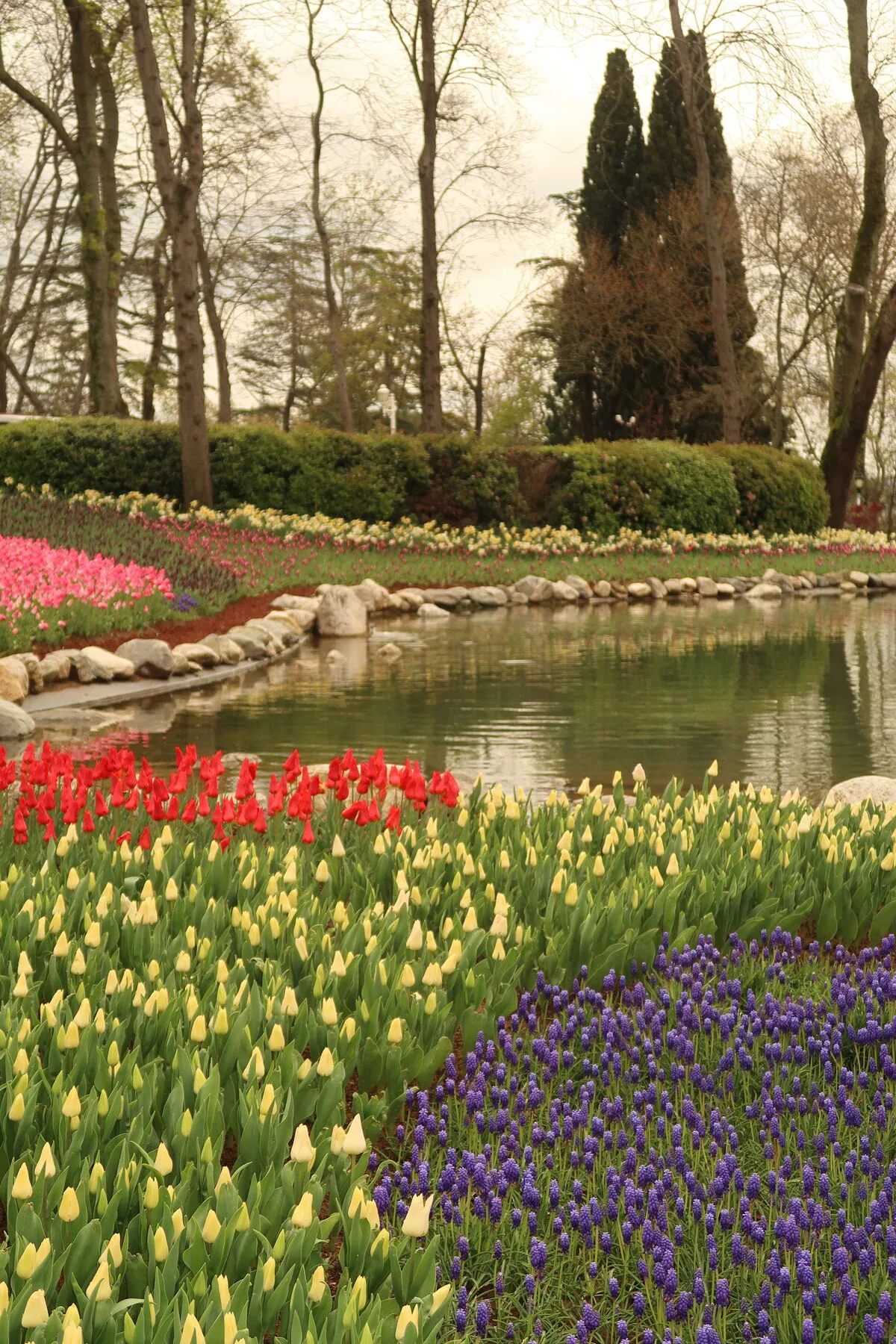 Beds of yellow, red and blue tulips around a still pond in Emirgan Park.