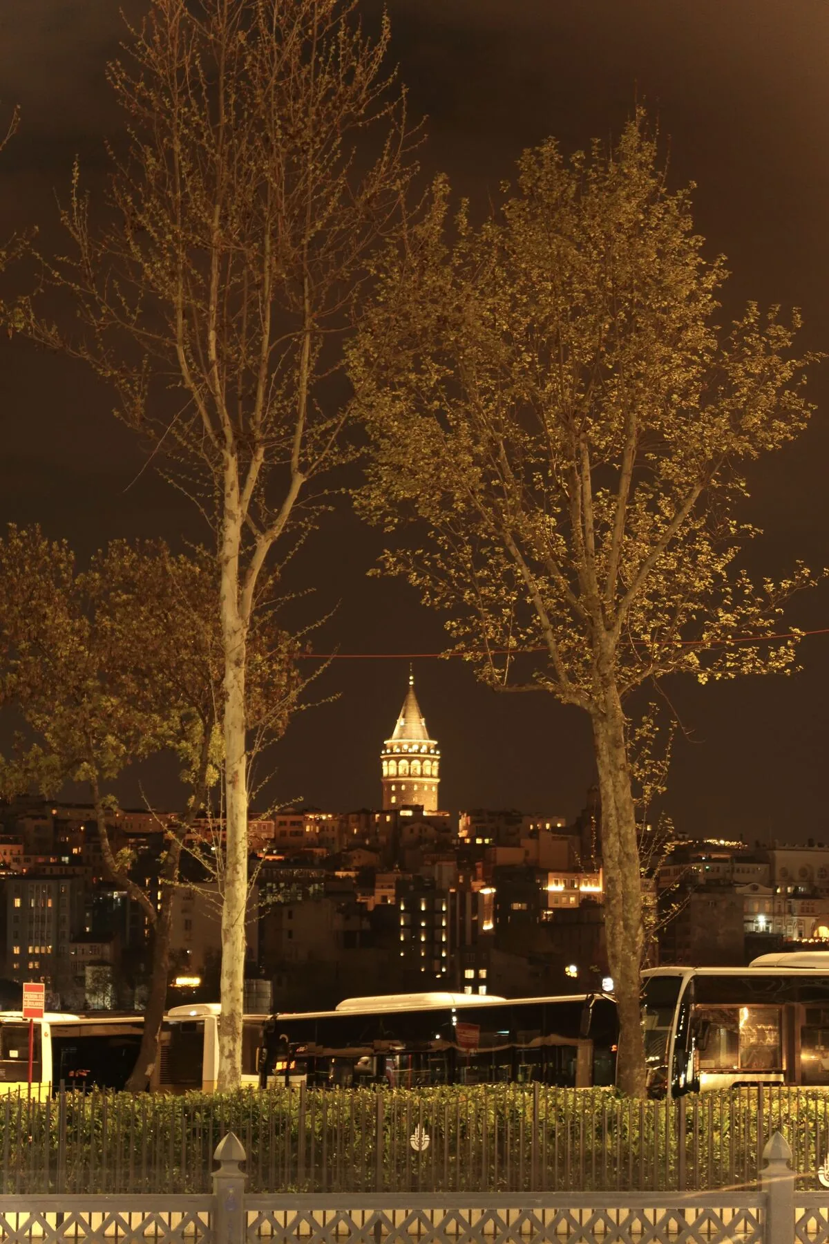 The Galata Tower lit at night, framed between two plane trees, with the city lights below.