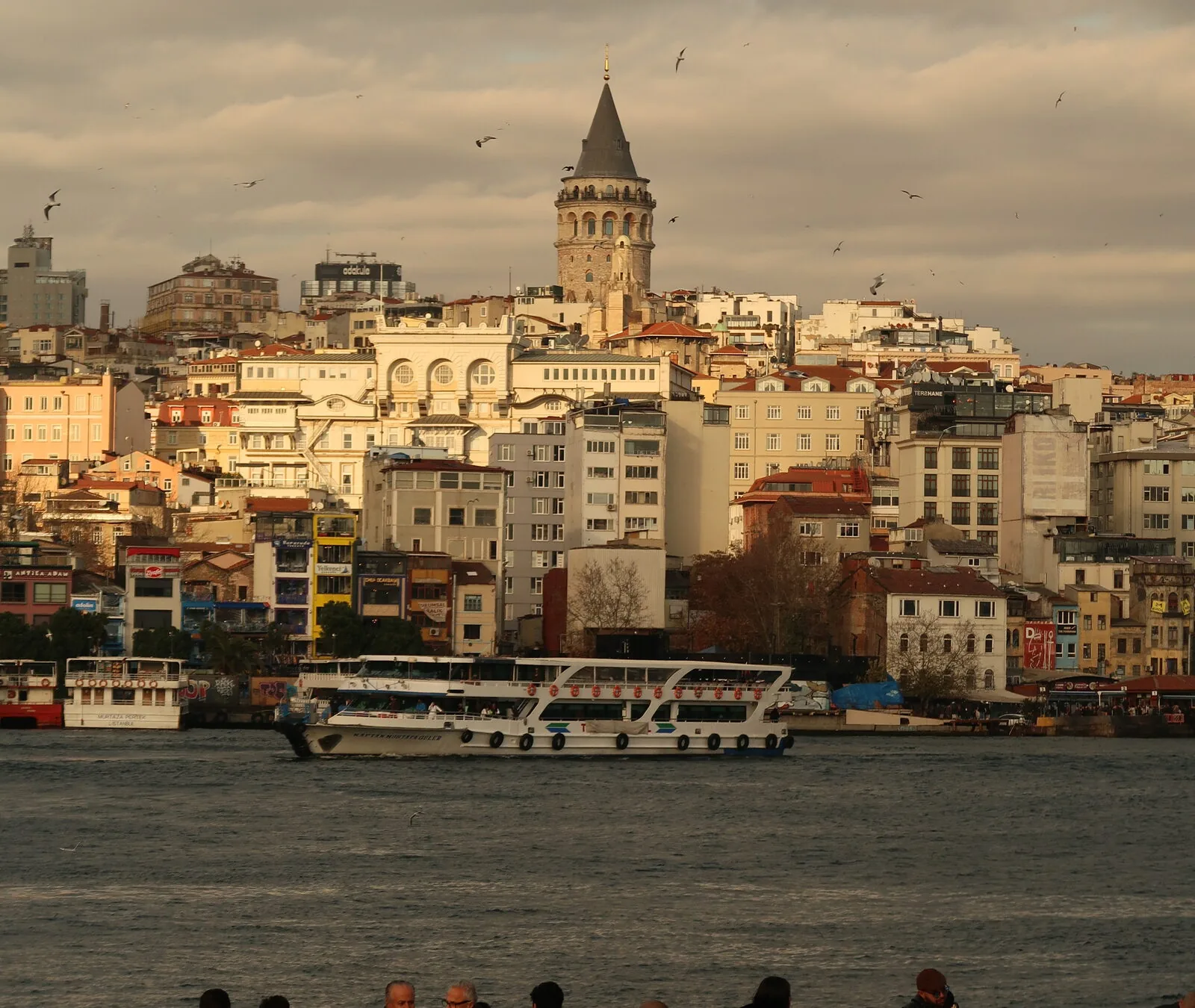 The Istanbul skyline across the Golden Horn at dusk, ferries at the quays and gulls over the water.